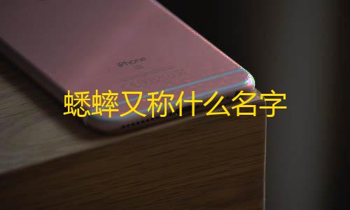 和平精英科技馆密码箱怎么开蟋蟀又称什么名字